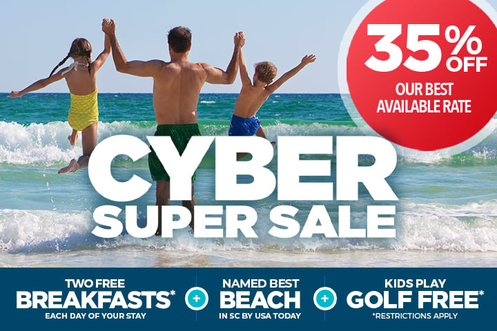 Cyber Super Sale - 35% OFF